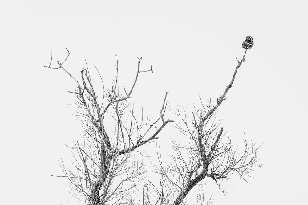 Одиночество