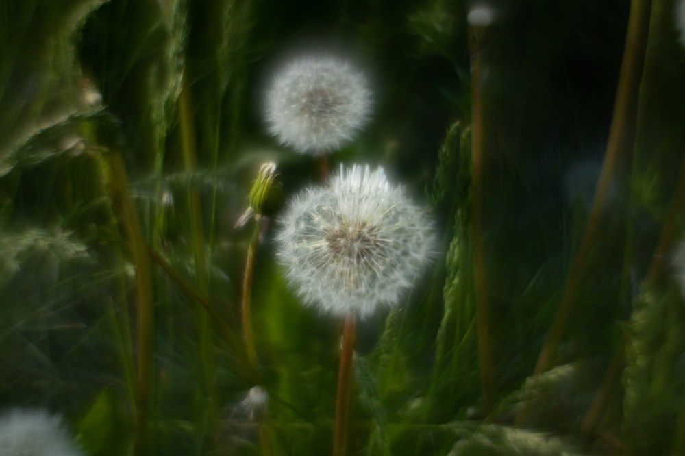 Photograph by Ирина Зиннурова