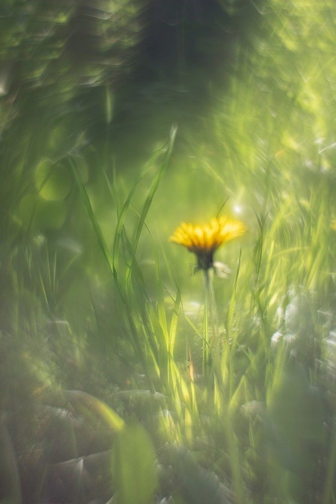 Photograph by Ирина Зиннурова