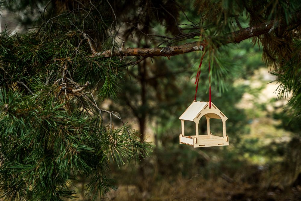 Фотография автора Василиса Новикова