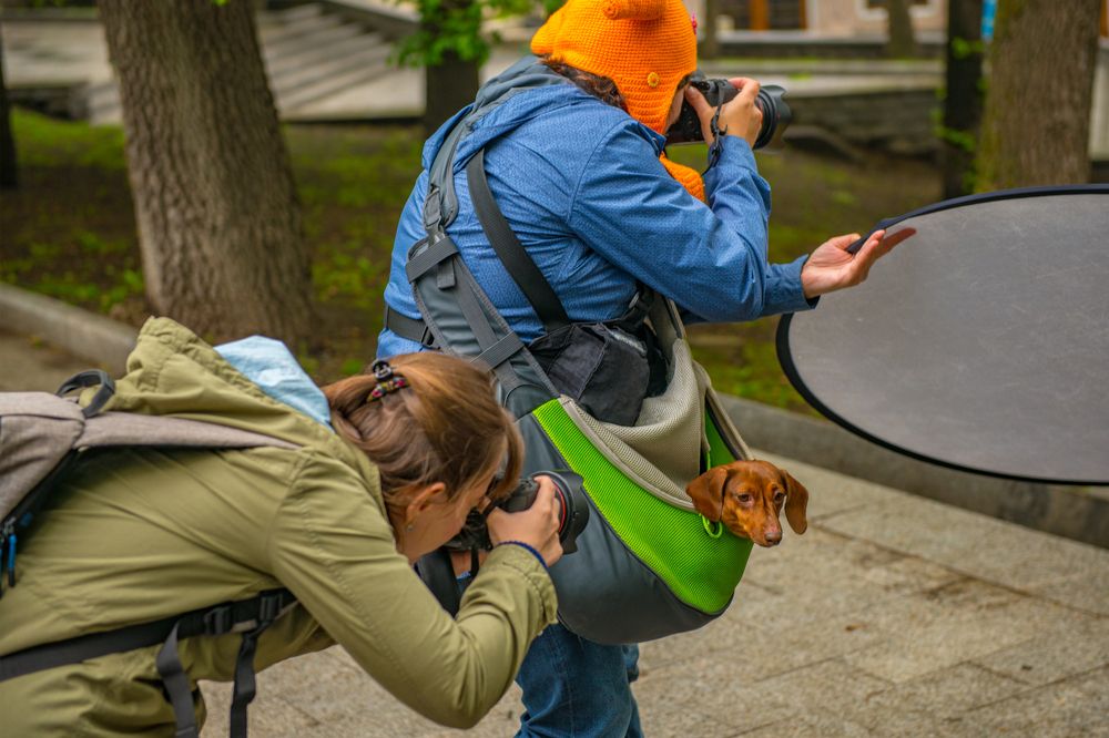 Photograph by Валерий Худынцев