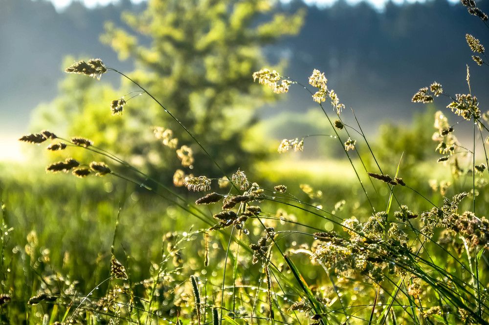 Photograph by Епишев Андрей