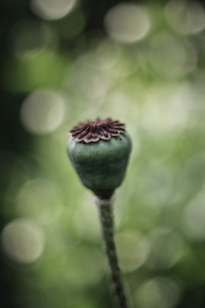 Photograph by Любовь Иванова