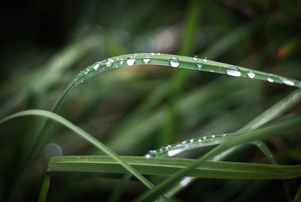 Photograph by Любовь Иванова