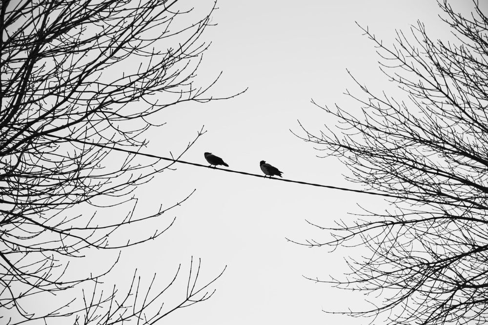 Photograph by Наталья Котько