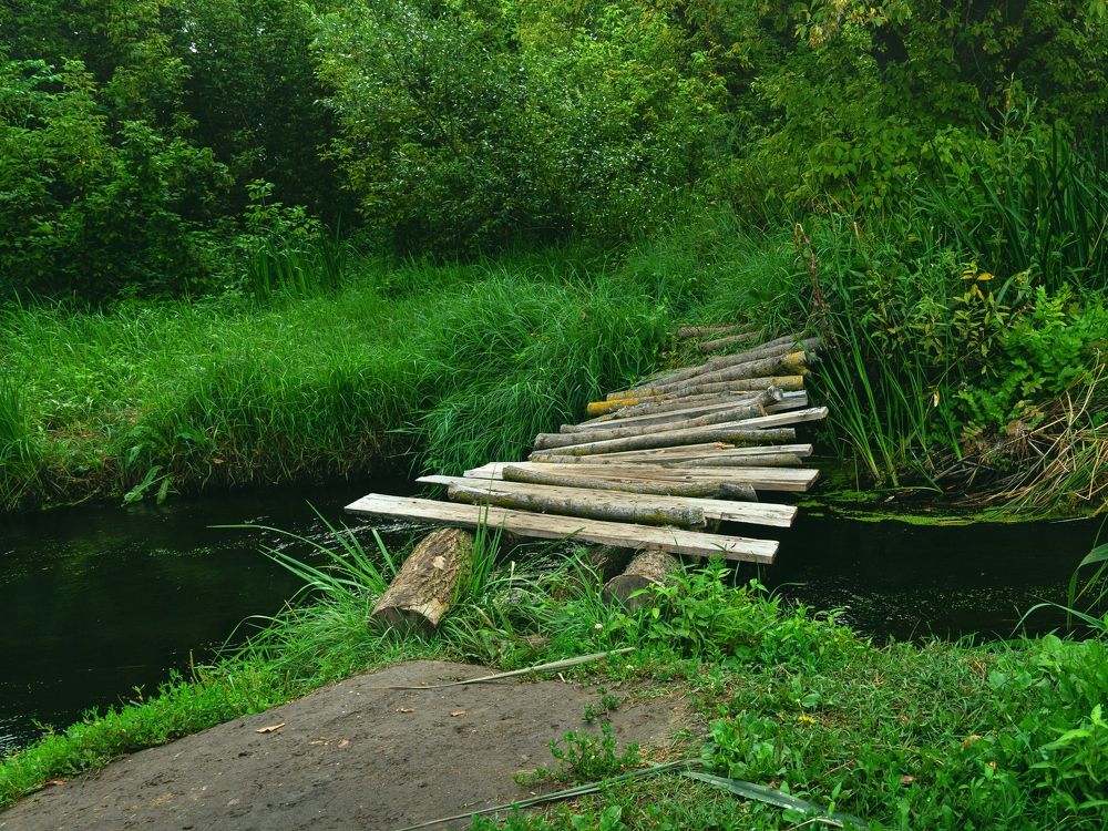 Photograph by София Стрыгина