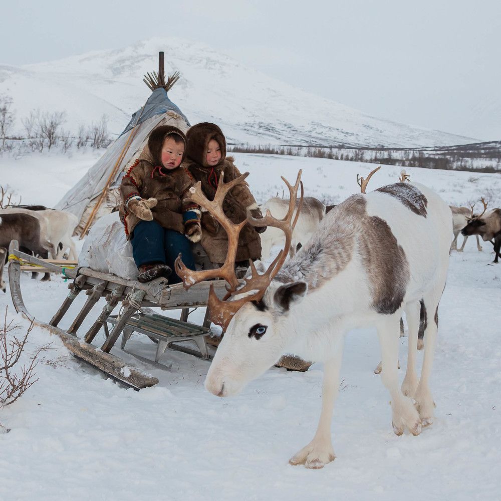 Photograph by Марина Маликова