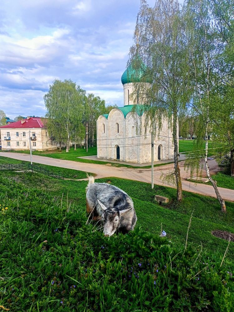 Photograph by Анна