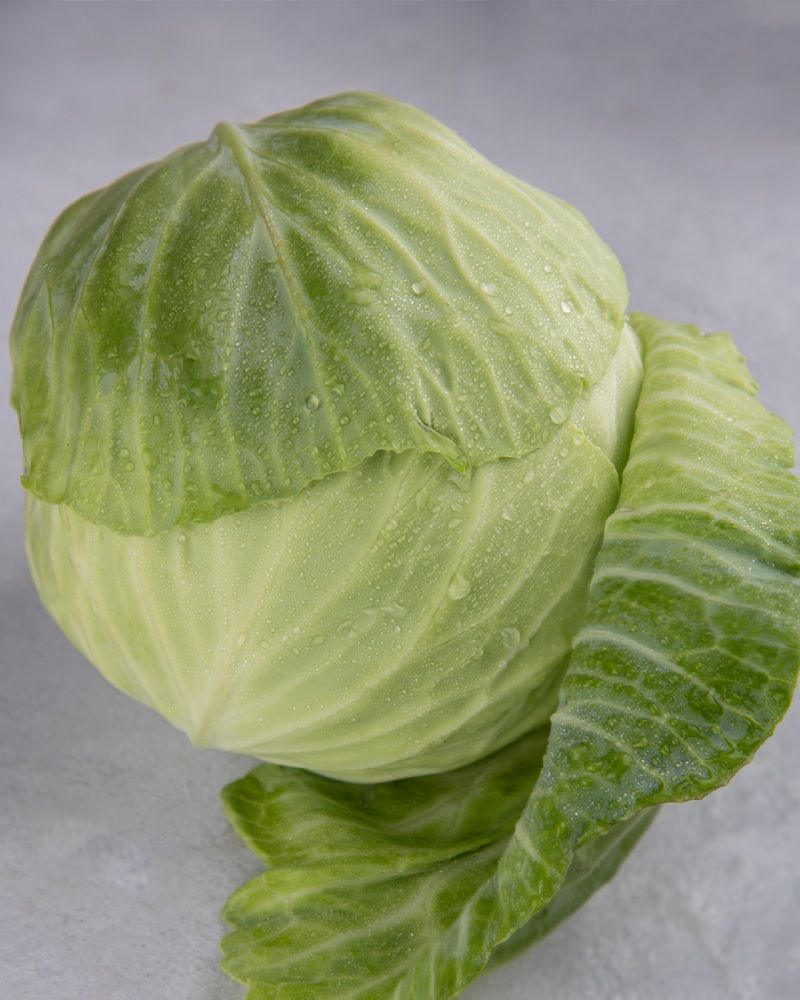 Photograph by Sarah Mirzakazemi