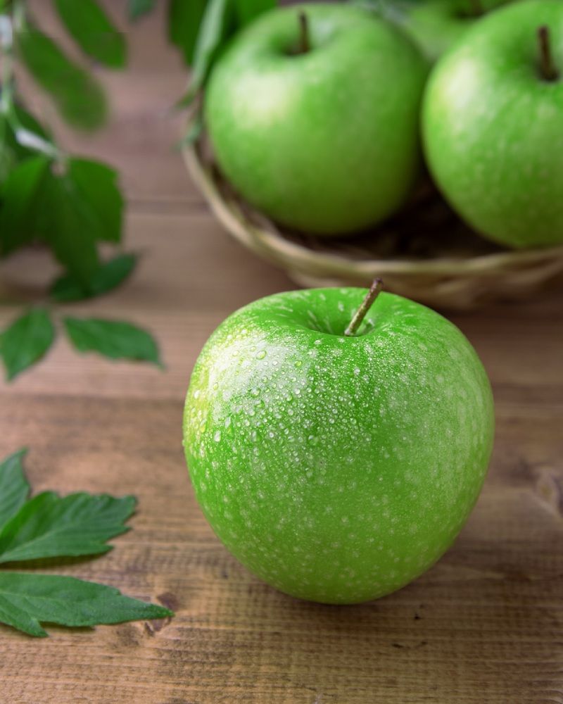 Photograph by Sarah Mirzakazemi