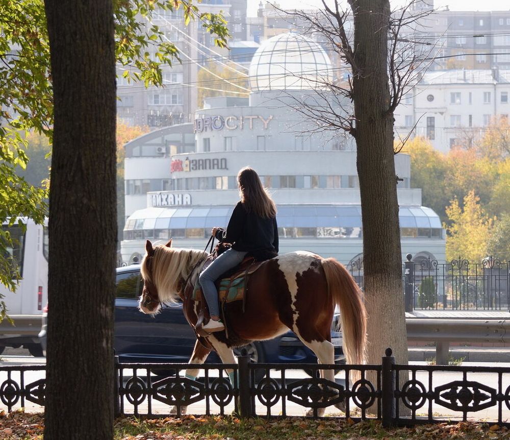 Photograph by Сергей Клапишевский