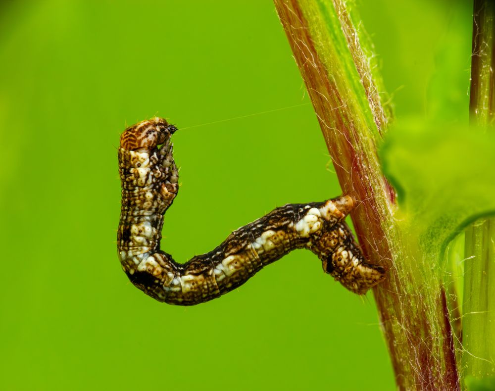 Photograph by Алексей