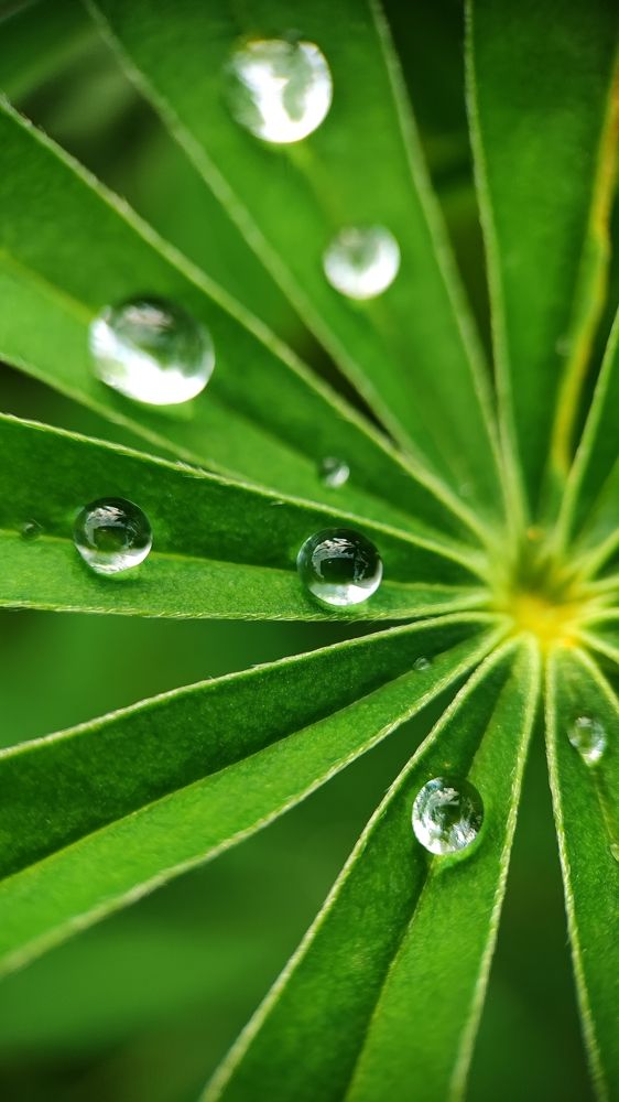 Photograph by Ольга Метлицкая