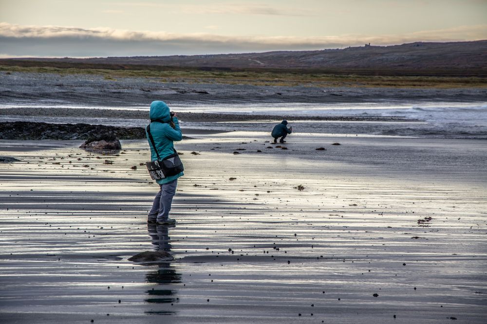 Photograph by Дмитрий Анисимов