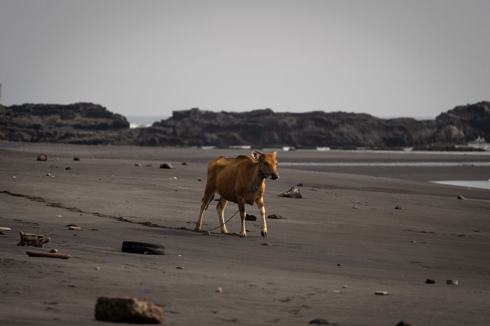Photograph by Евгений Коновалов