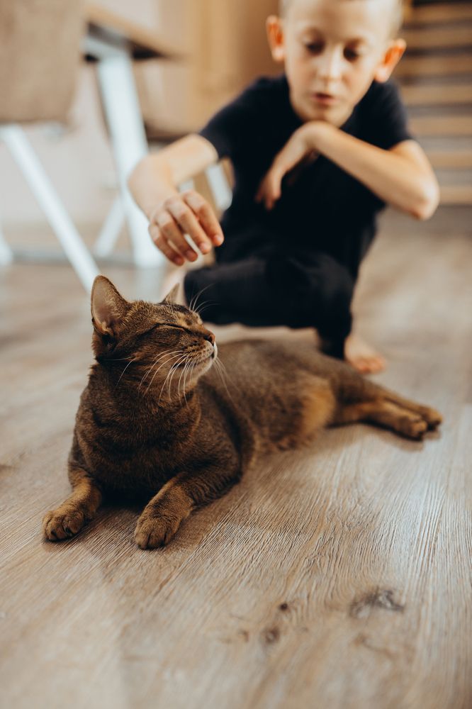 Photograph by Гузель Миникаева