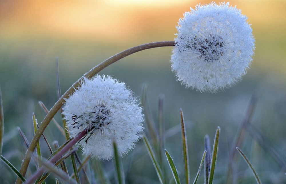 Photograph by Анна Кулакова