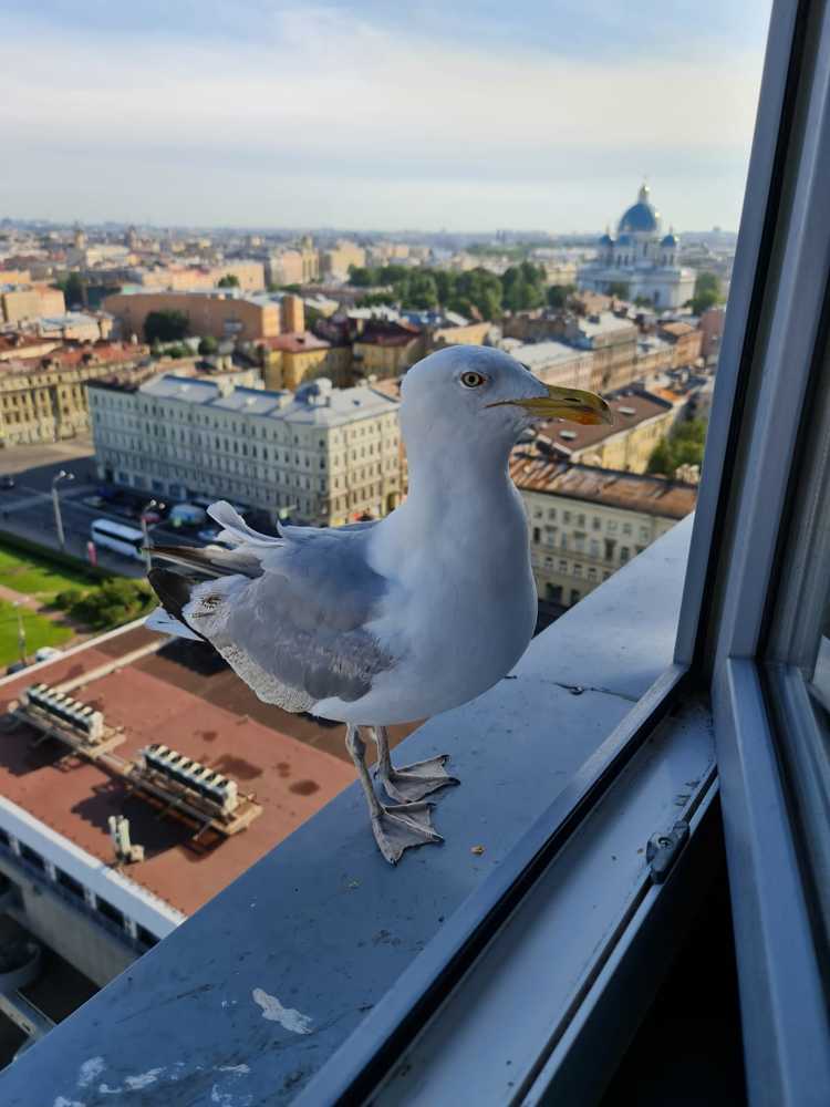 Photograph by Наталья Иванова