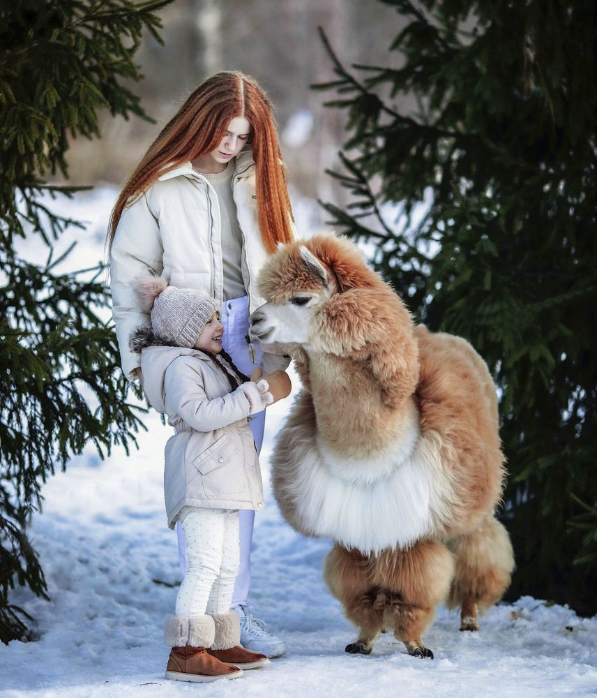 Чудесное знакомство