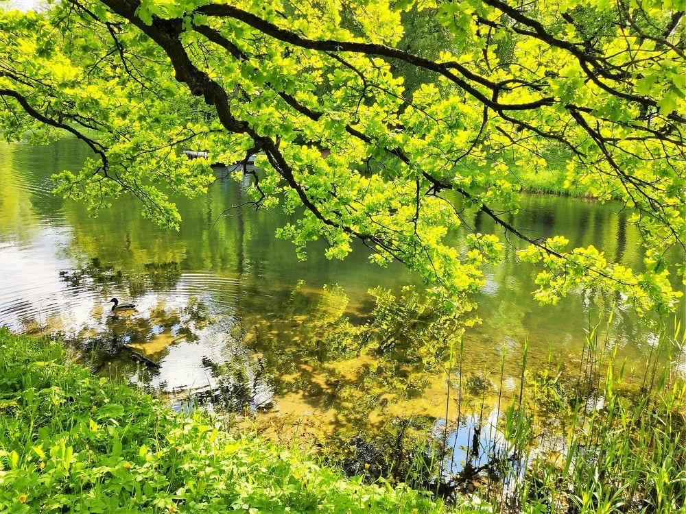 Photograph by Светлана Рубцова