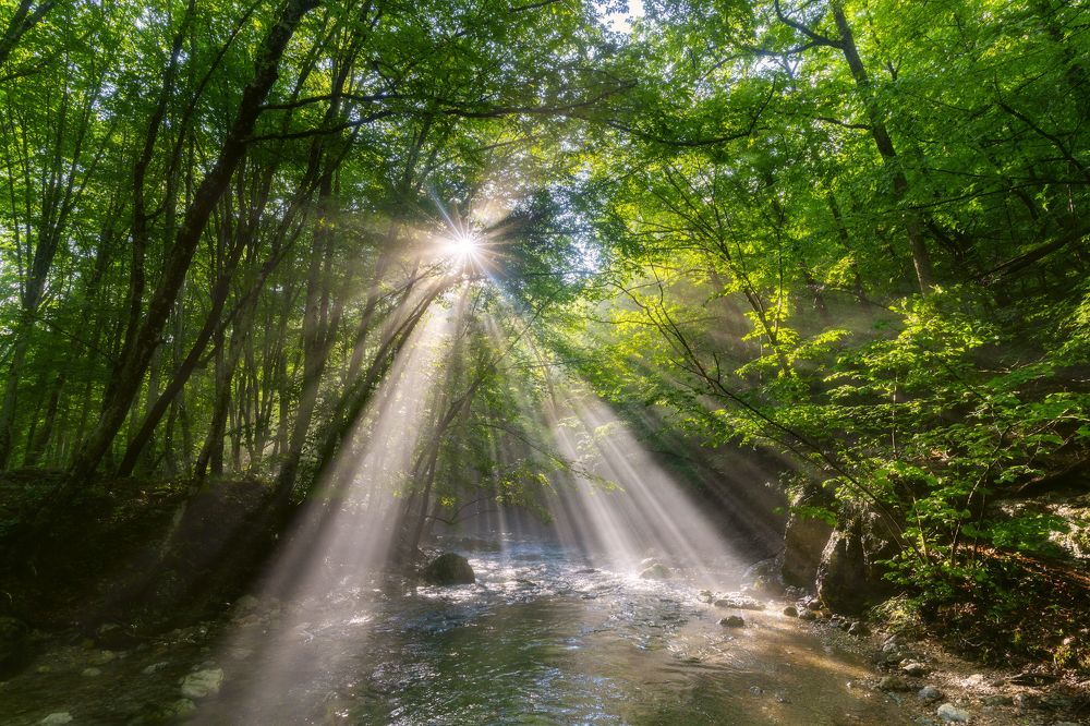 Photograph by Юлия Мальцева