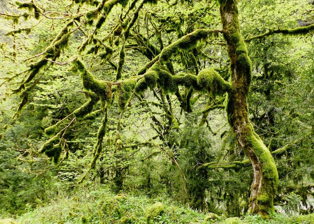 Photograph by Светлана Рубцова