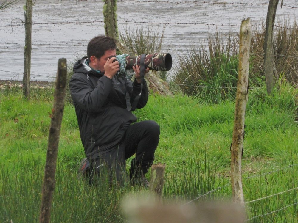 Фотография автора Paula Torrent