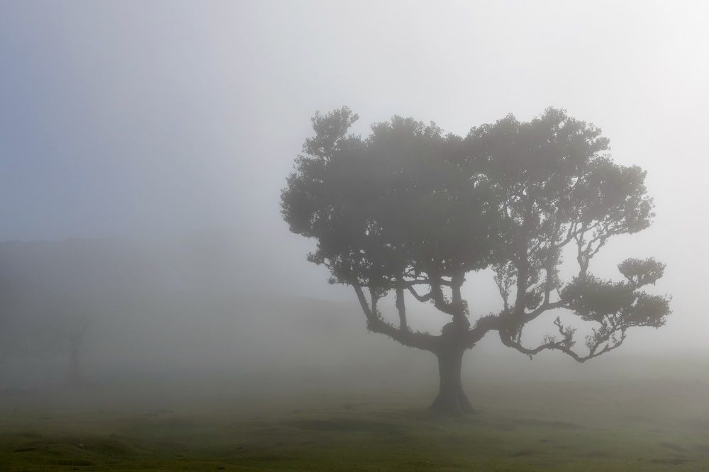 Humane and beautiful