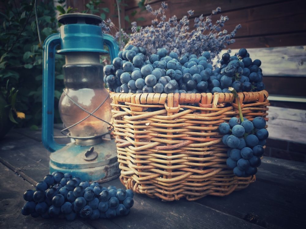 Photograph by Ольга Мартьянова