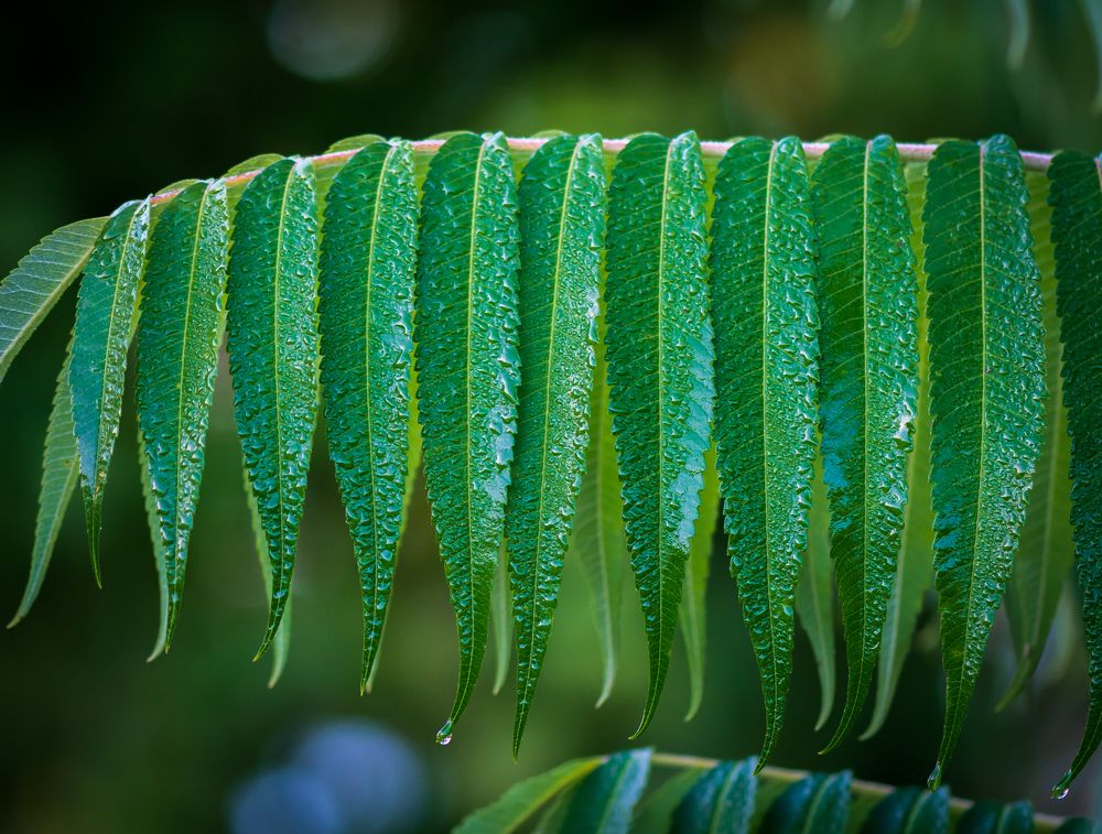 Photograph by Agita Leimane