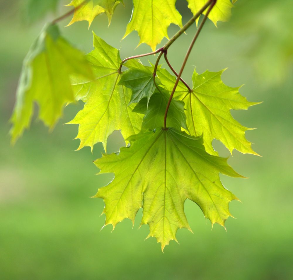 Photograph by Agita Leimane