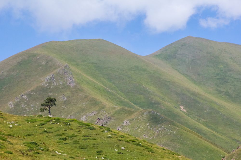 Photograph by Алексей