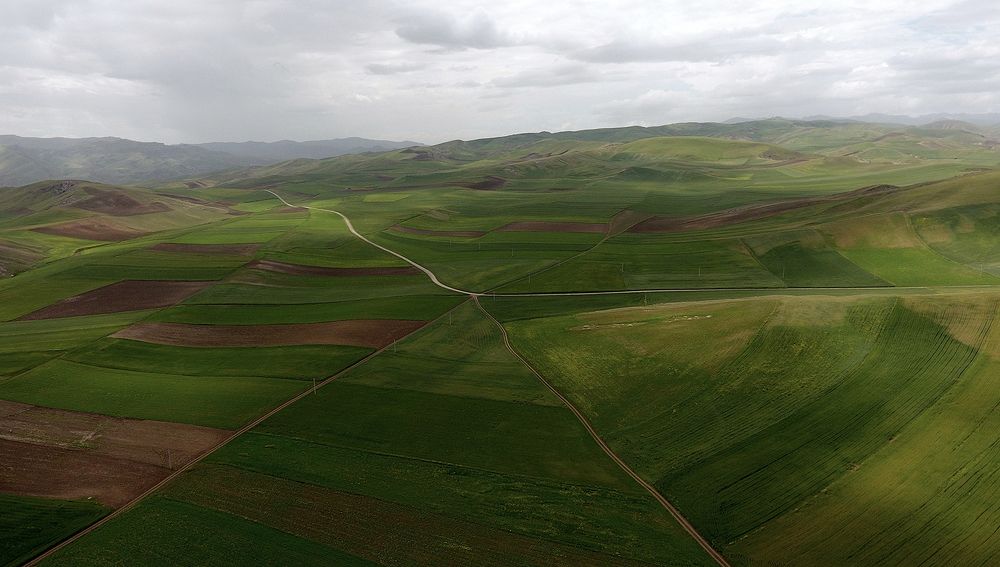 Photograph by Javad Tafti Farashah