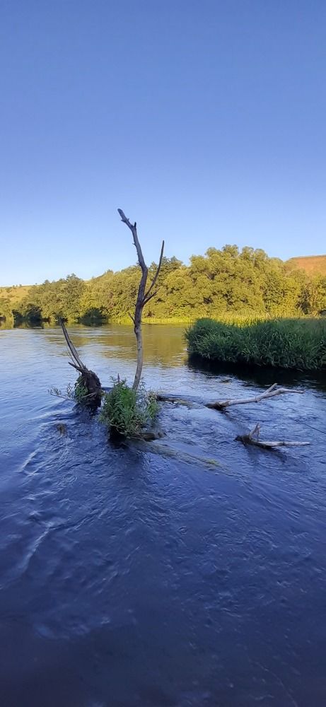 Photograph by Татьяна Медведева