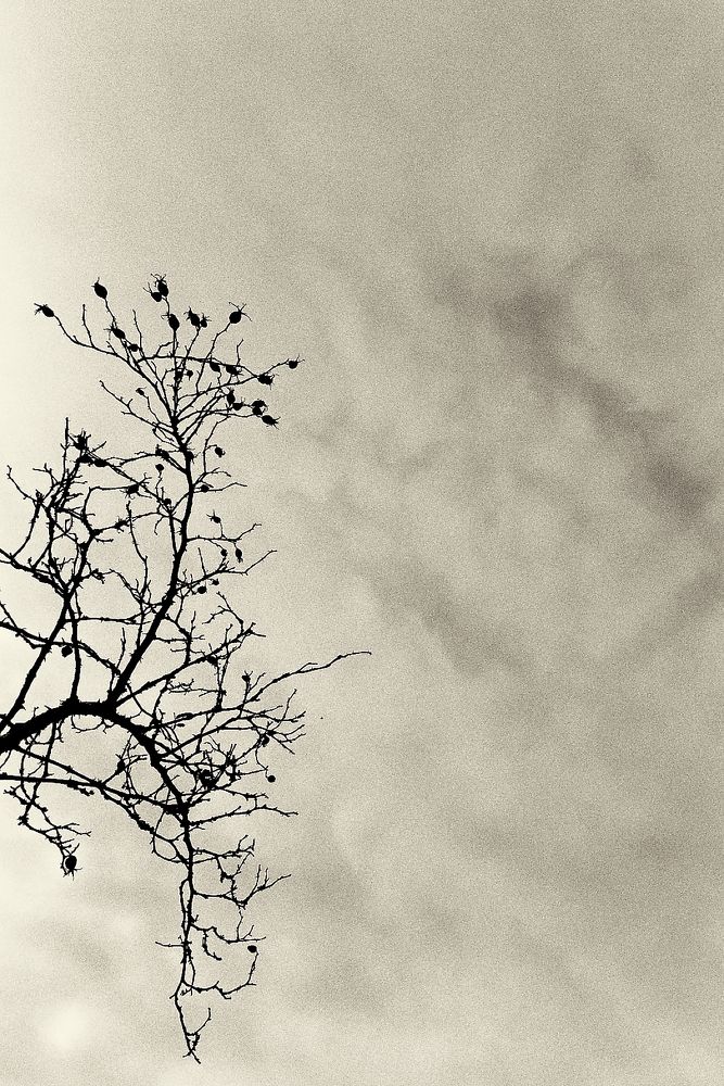 Photograph by Aleksei Degtjarjov