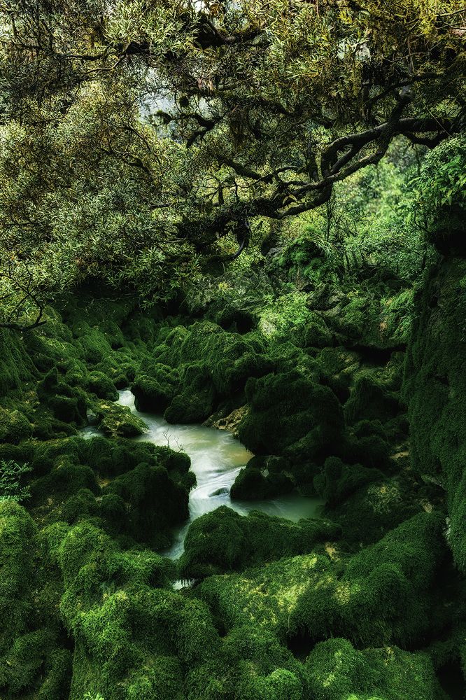 Photograph by NGUYEN HAI