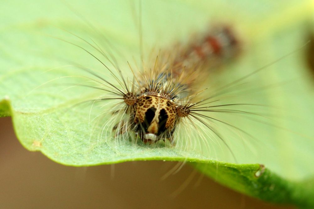 Photograph by Юрий Соколков