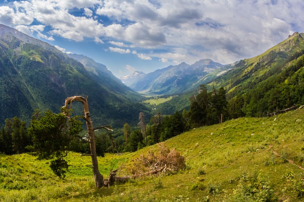 Photograph by Алексей