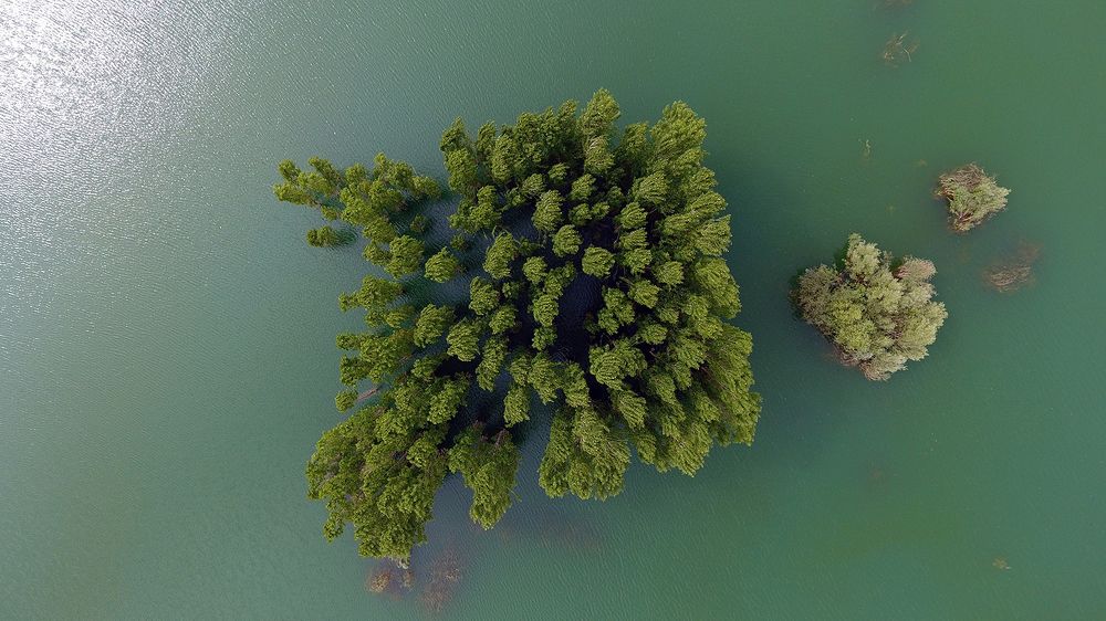 Photograph by Javad Tafti Farashah