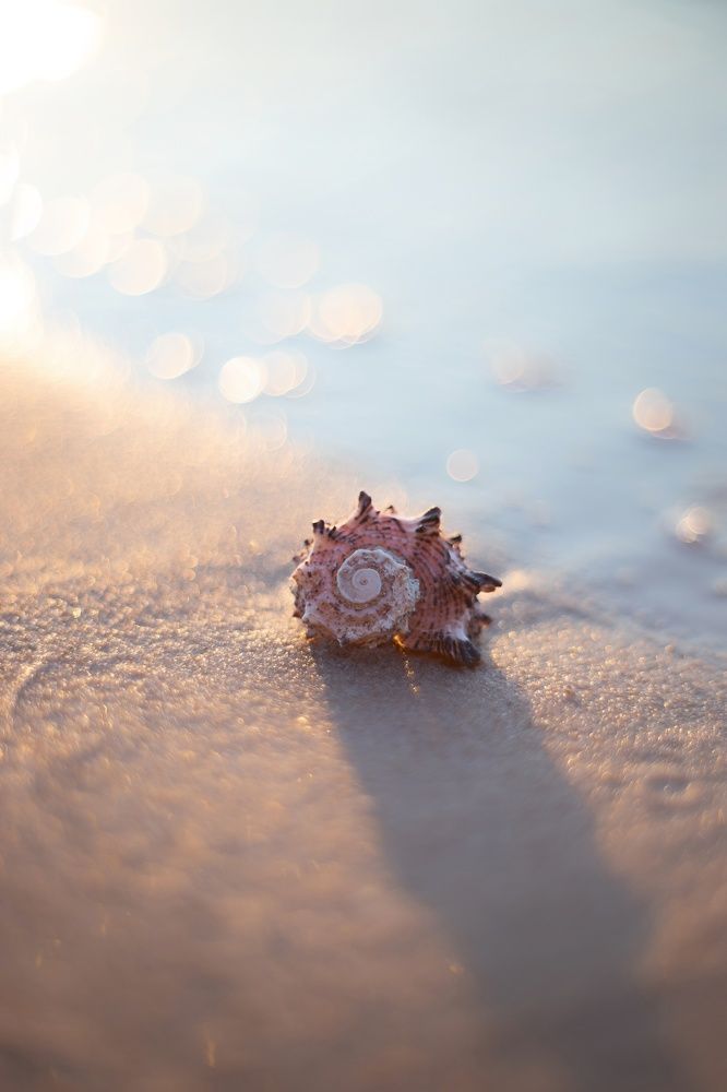 Фотография автора Обидина Мария