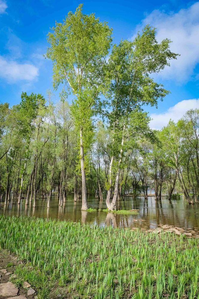 Photograph by Андрей Чернышов