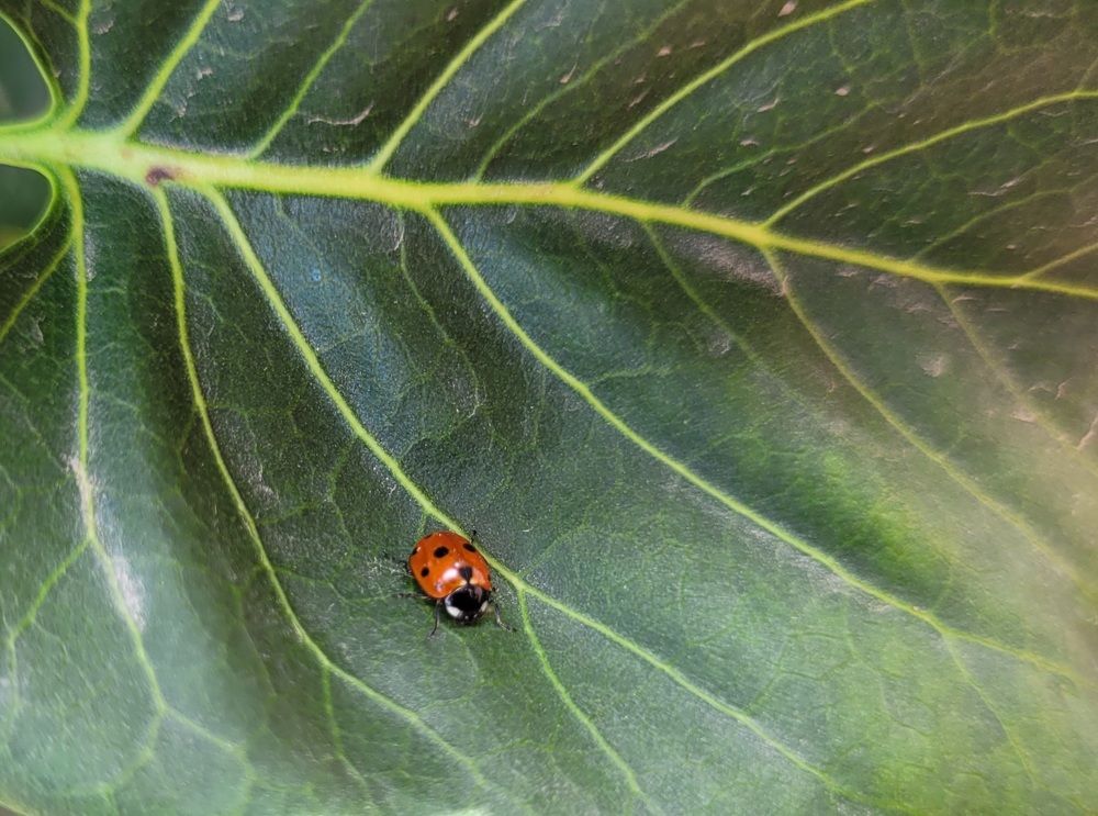 Photograph by Метушова Анна