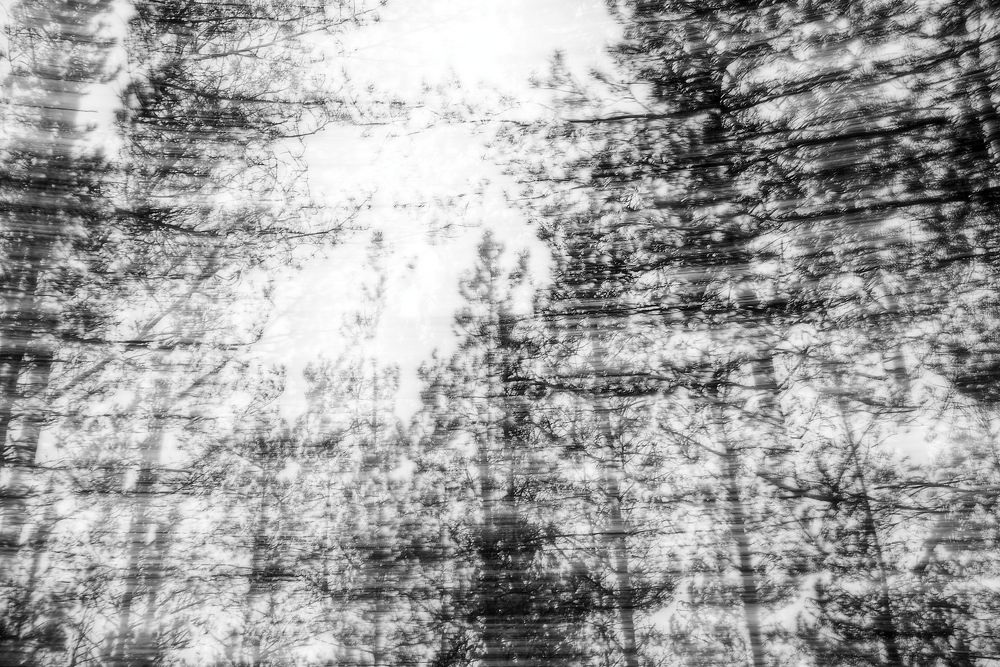 Photograph by Aleksei Degtjarjov