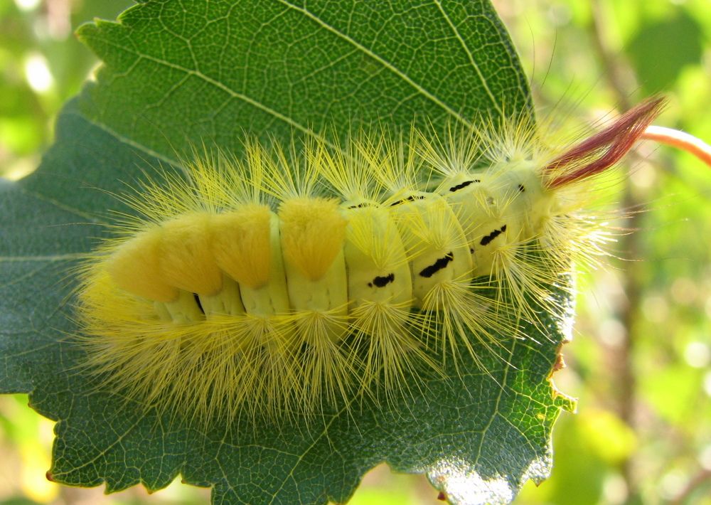 Photograph by Юрий Соколков