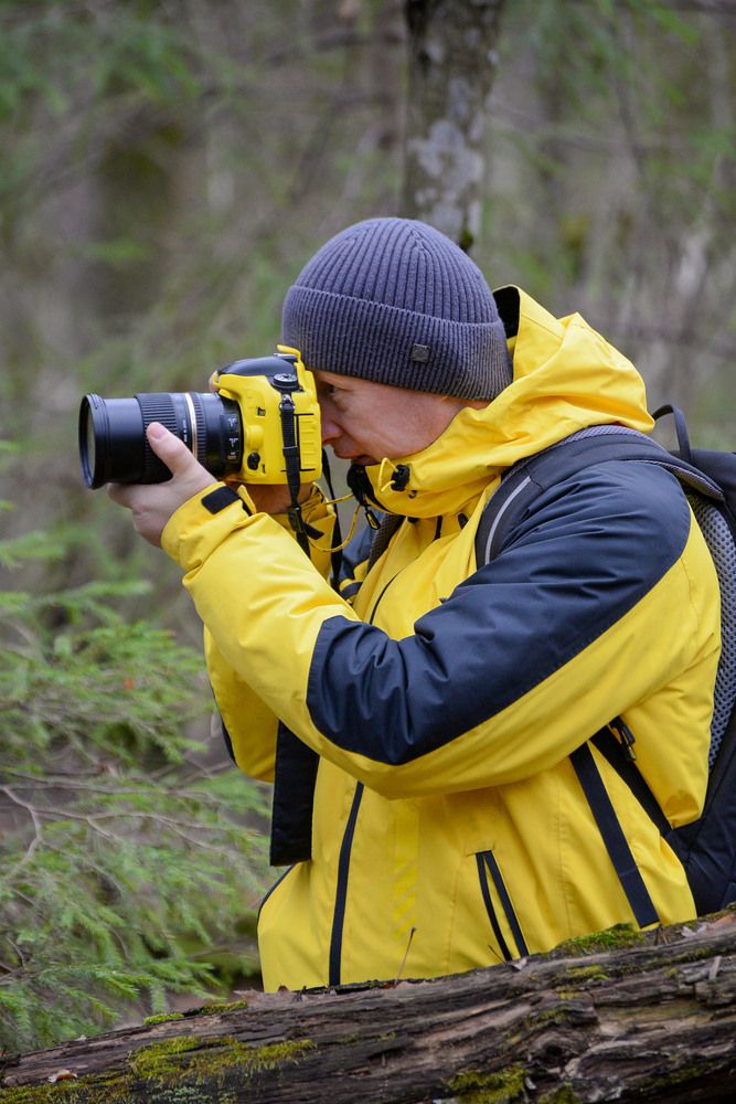 Photograph by Эдуард Шадров