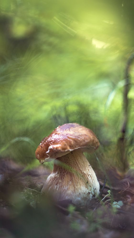 Фотография автора Обидина Мария