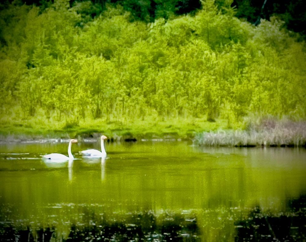 Photograph by Batsaikhan Badamdorj