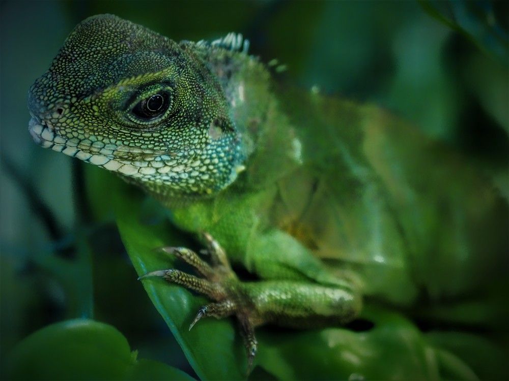 Photograph by Наталия Романова