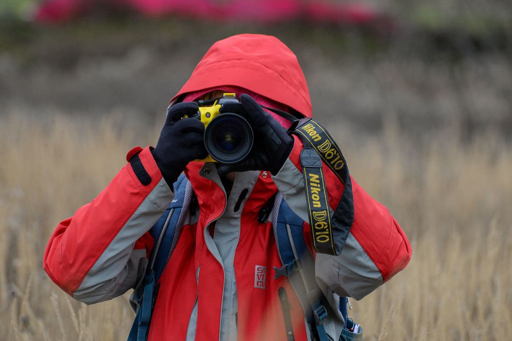 Photograph by Эдуард Шадров