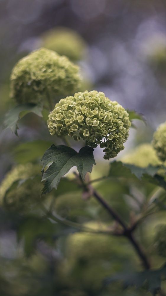 Фотография автора Обидина Мария